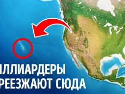 {{brizy_dc_image_alt entityId=