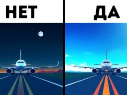 Главная страница, интернет-копилка, продукты Здоровья и Красоты, Livegood