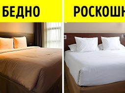 pochemu postelnoe bele v gostini