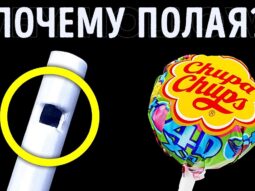 pochemu v palochkah ledentsov es pochemu v palochkah ledentsov es