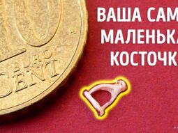 Поразительные секреты человеческих костей! Вы не поверите, что находится внутри
