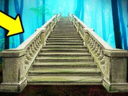 Потерянные в лесу: призрачная тайна заброшенных лестниц