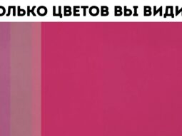 proverte vidite li vy bolshe tsv proverte vidite li vy bolshe tsv