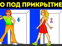 Разгадав хотя бы половину этих загадок, вы станете умнее большинства