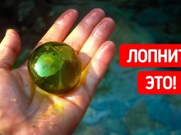 Главная страница, интернет-копилка, продукты Здоровья и Красоты, Livegood