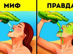 {{brizy_dc_image_alt entityId=