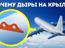 Скрытые детали повсюду, которые вы не замечали до сих пор Главная страница, интернет-копилка, продукты Здоровья и Красоты, Jeunesse