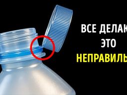 Главная страница, интернет-копилка, продукты Здоровья и Красоты, Jeunesse