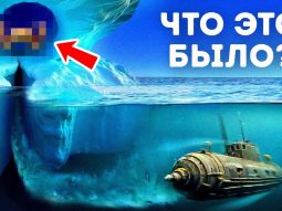 {{brizy_dc_image_alt entityId=