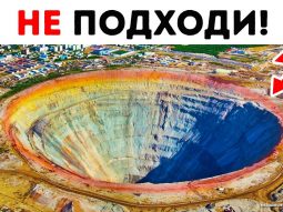 Главная страница, интернет-копилка, продукты Здоровья и Красоты, Livegood
