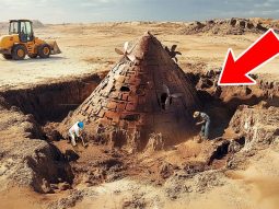 Главная страница, интернет-копилка, продукты Здоровья и Красоты, Livegood