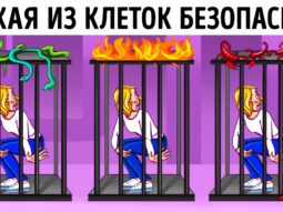 Только 2% лучших в классе могут разгадать эти загадки Только 2% лучших в классе могут разгадать эти загадки