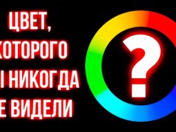 Только цвет, который ваш мозг отказывается видеть, и 20 хитрых иллюзий