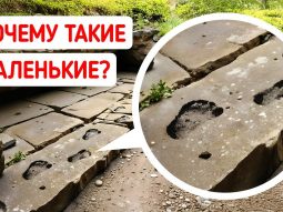Главная страница, интернет-копилка, продукты Здоровья и Красоты, Livegood