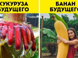 {{brizy_dc_image_alt entityId=