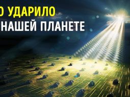 Главная страница, интернет-копилка, продукты Здоровья и Красоты, Livegood