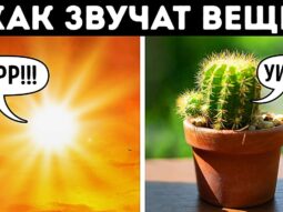 Ваш кактус кричит на вас + другие звуки, которые вы не можете услышать