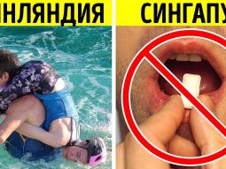 {{brizy_dc_image_alt entityId=