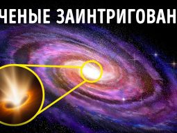 Главная страница, интернет-копилка, продукты Здоровья и Красоты, Jeunesse