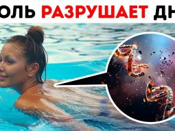 Вот как вода может повредить ДНК Главная страница, интернет-копилка, продукты Здоровья и Красоты, Jeunesse