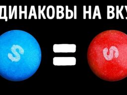 vse skittles odinakovy na vkus 1