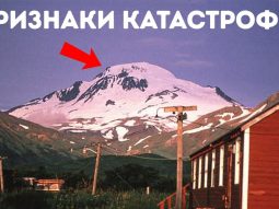 Главная страница, интернет-копилка, продукты Здоровья и Красоты, Jeunesse