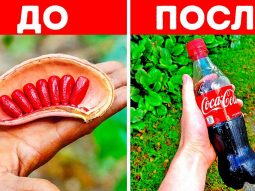 vy nikogda ne dogadaetes kak pro