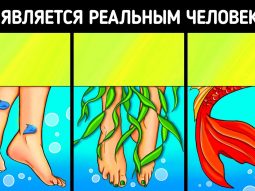 {{brizy_dc_image_alt entityId=